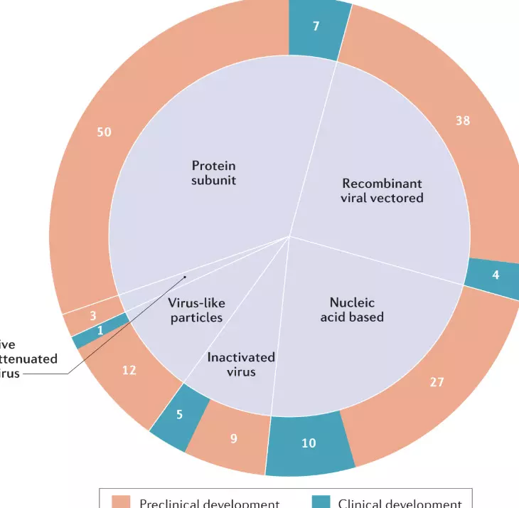 Big Drop In Antibodies Within 4 Months Of Covid Shot, Says Study In India